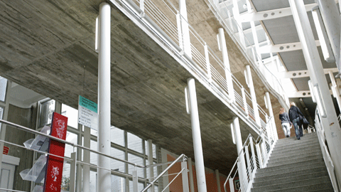 Faculty of Political Science and Sociology