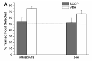 Transmissió social de preferència alimentària