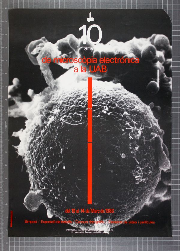 Amplia la imatge 10 anys de Microscòpia Electrònica