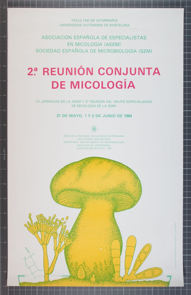 Amplia la imatge 2a Reunion conjunta de Micología