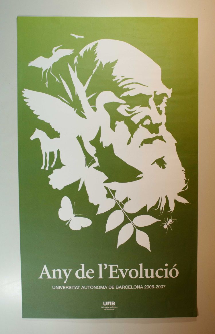 Amplia la imatge Any de l'Evolució