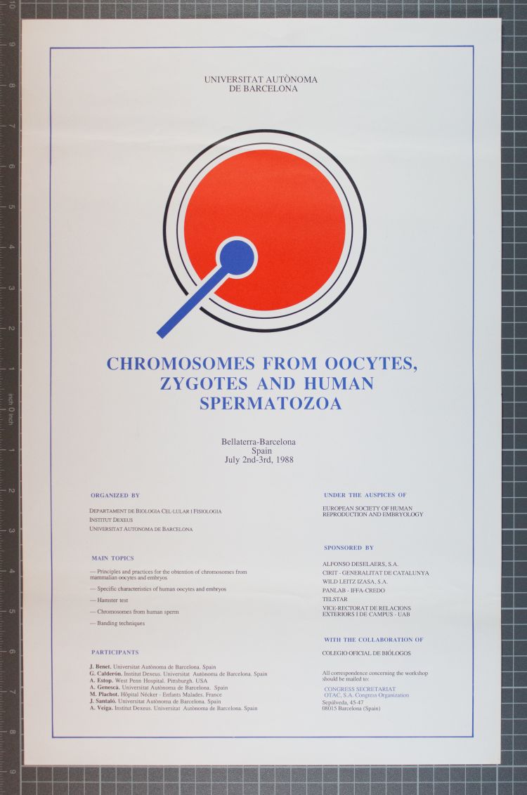 Amplia la imatge Chromosomes from oozytes, zigotes and human spermatozóa