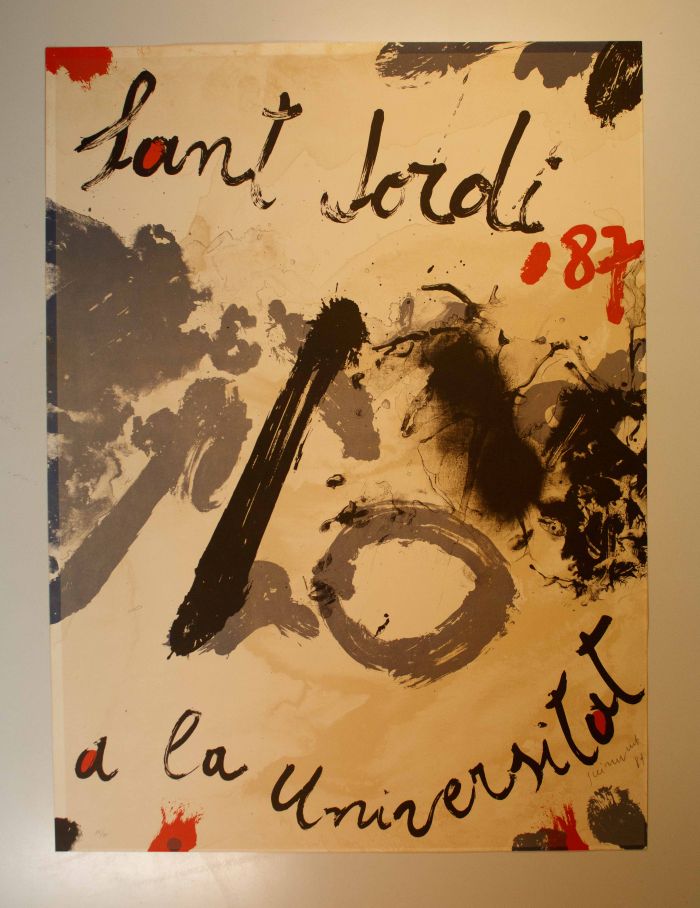 Amplia la imatge Sant Jordi 87 a la Universitat