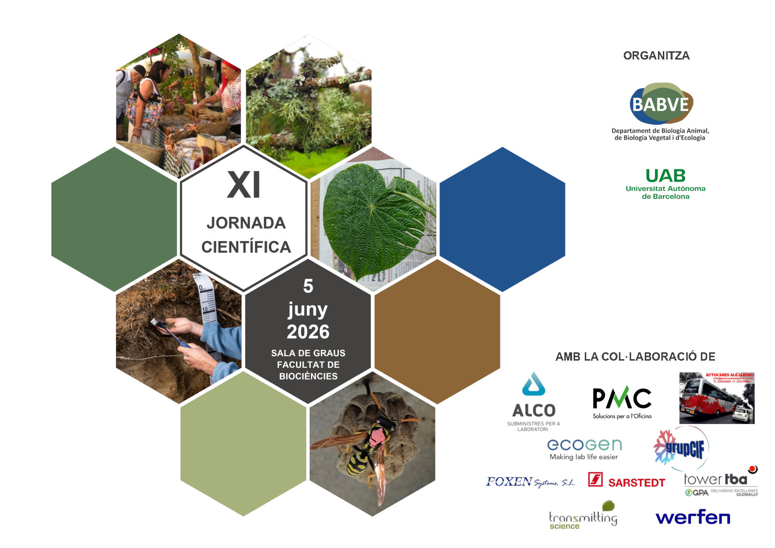 Pòster de la XI Jornada Científica del BABVE