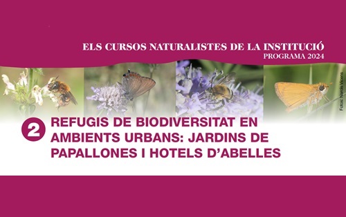 Curs Refugis de Biodiversitat en Ambients Urbans ICHN