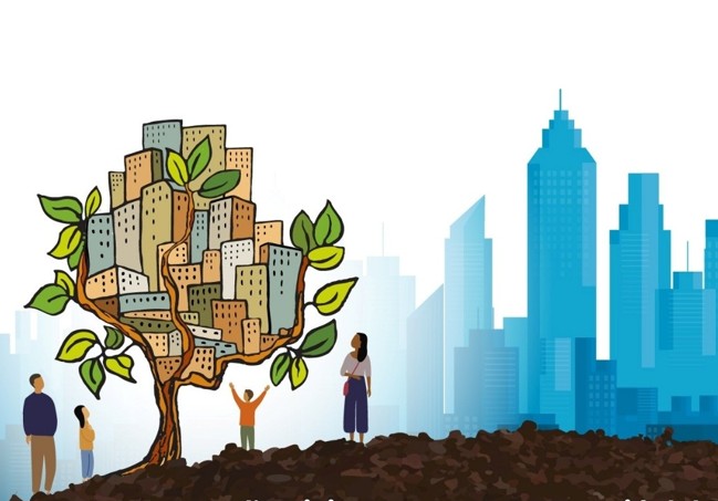 Dia Mundial del Sòl