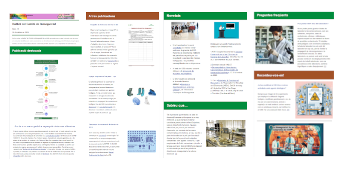 butlletí 13 del CBS
