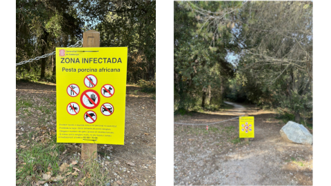 restricció accés camins