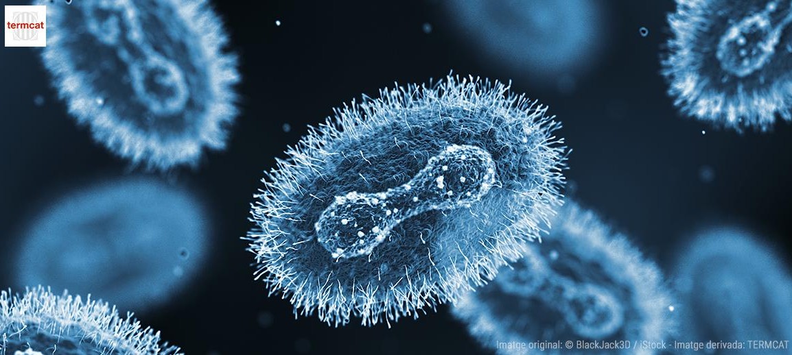 virus i diccionari del TERMCAT