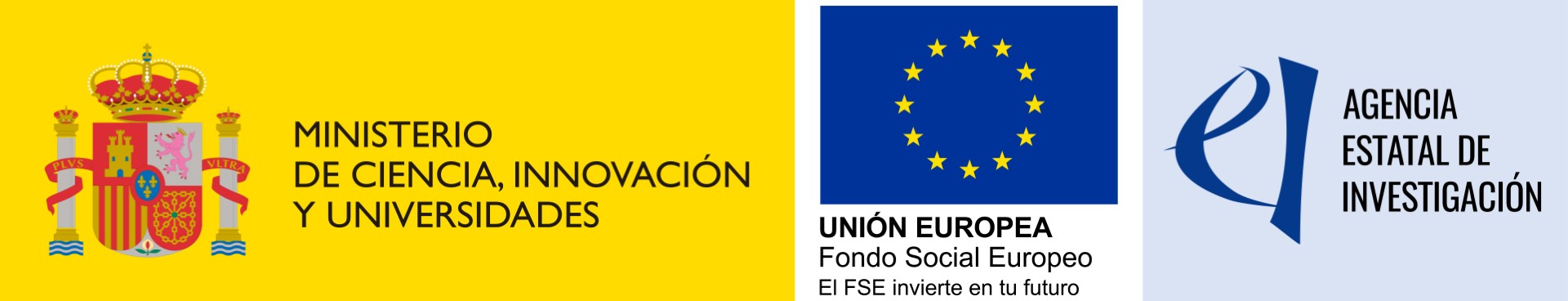 Logo MICUI + FSE + AEI