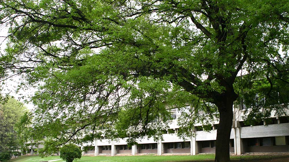 Facultat de Dret UAB