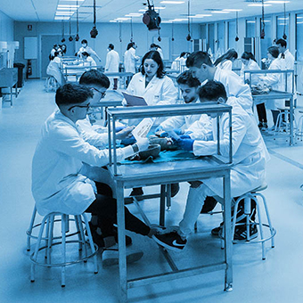  Alumnes treballant a la sala de dissecció