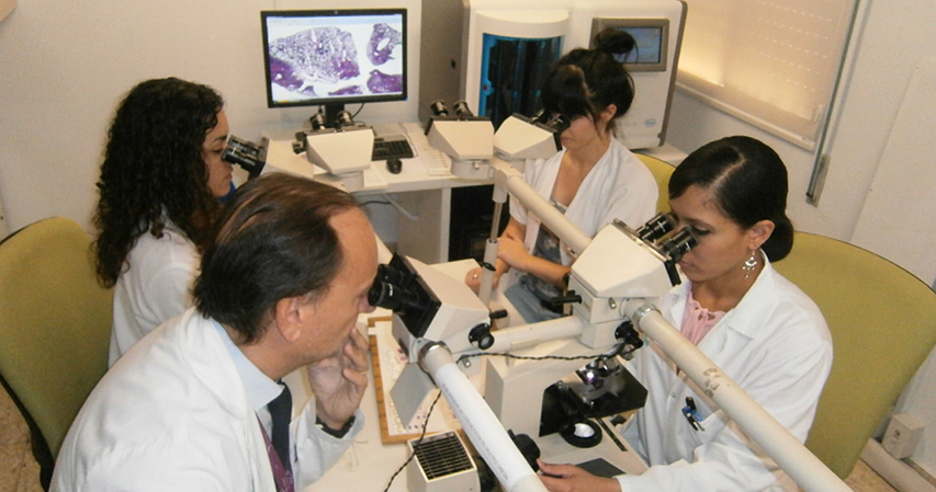  Membres d'un grup de recerca fent observacions al microscopi.
