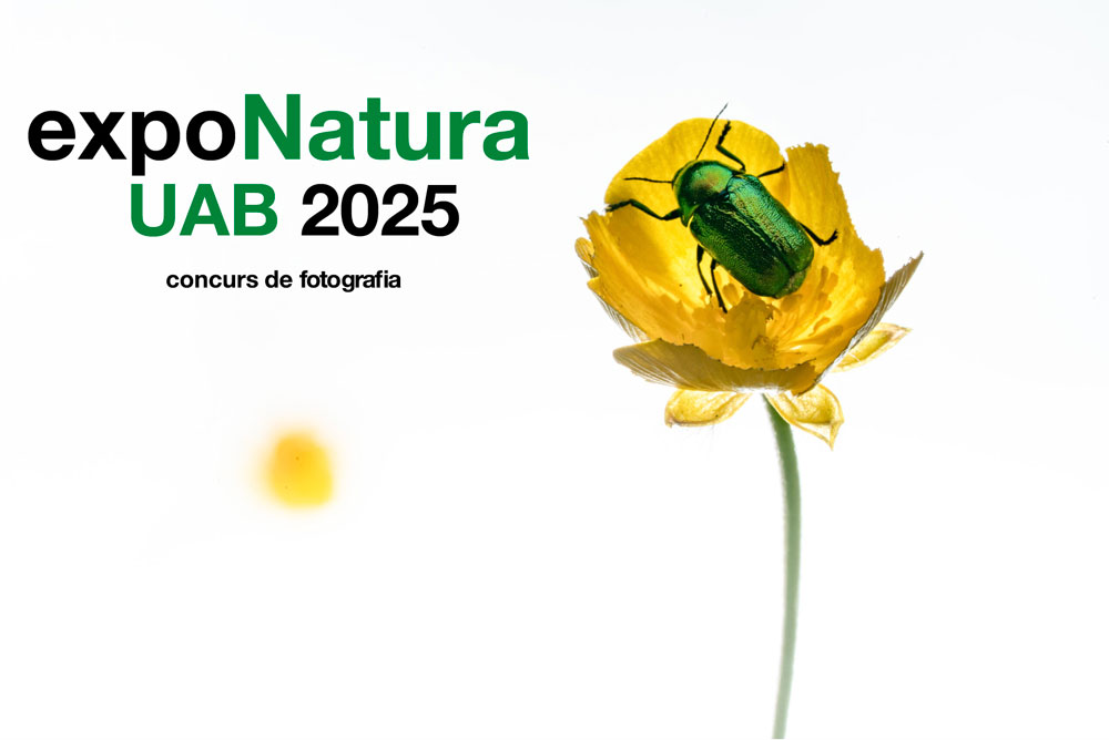 cartell de l'exponatura 2025 concurs de fotografia de la Facultat de Ciències