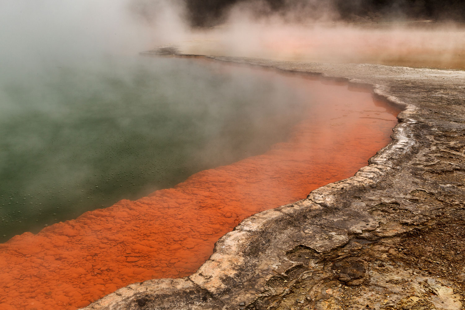 Geologia i Geofísica de Reservoris
