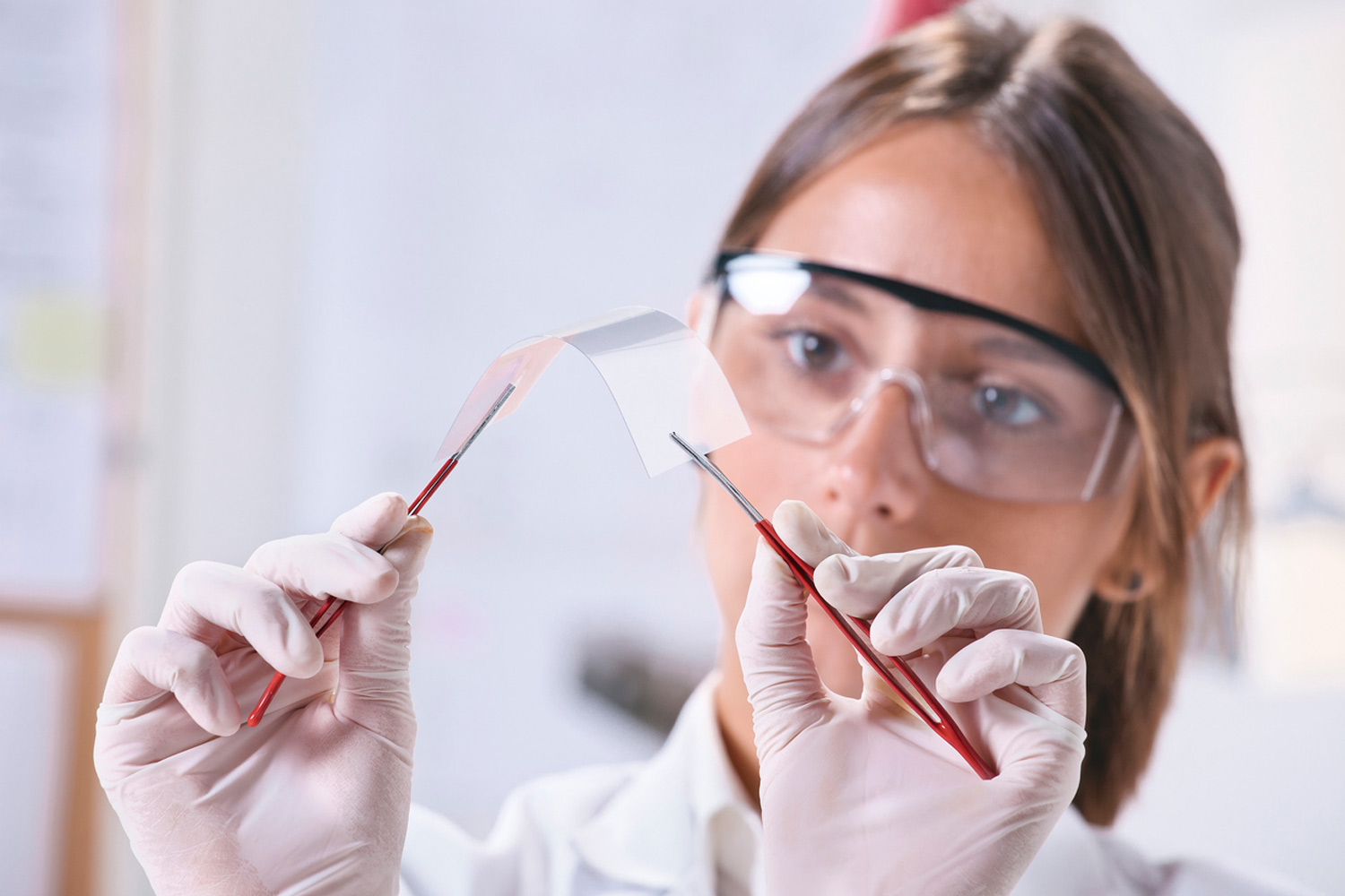 Imatge de Grau en Nanociència i Nanotecnologia