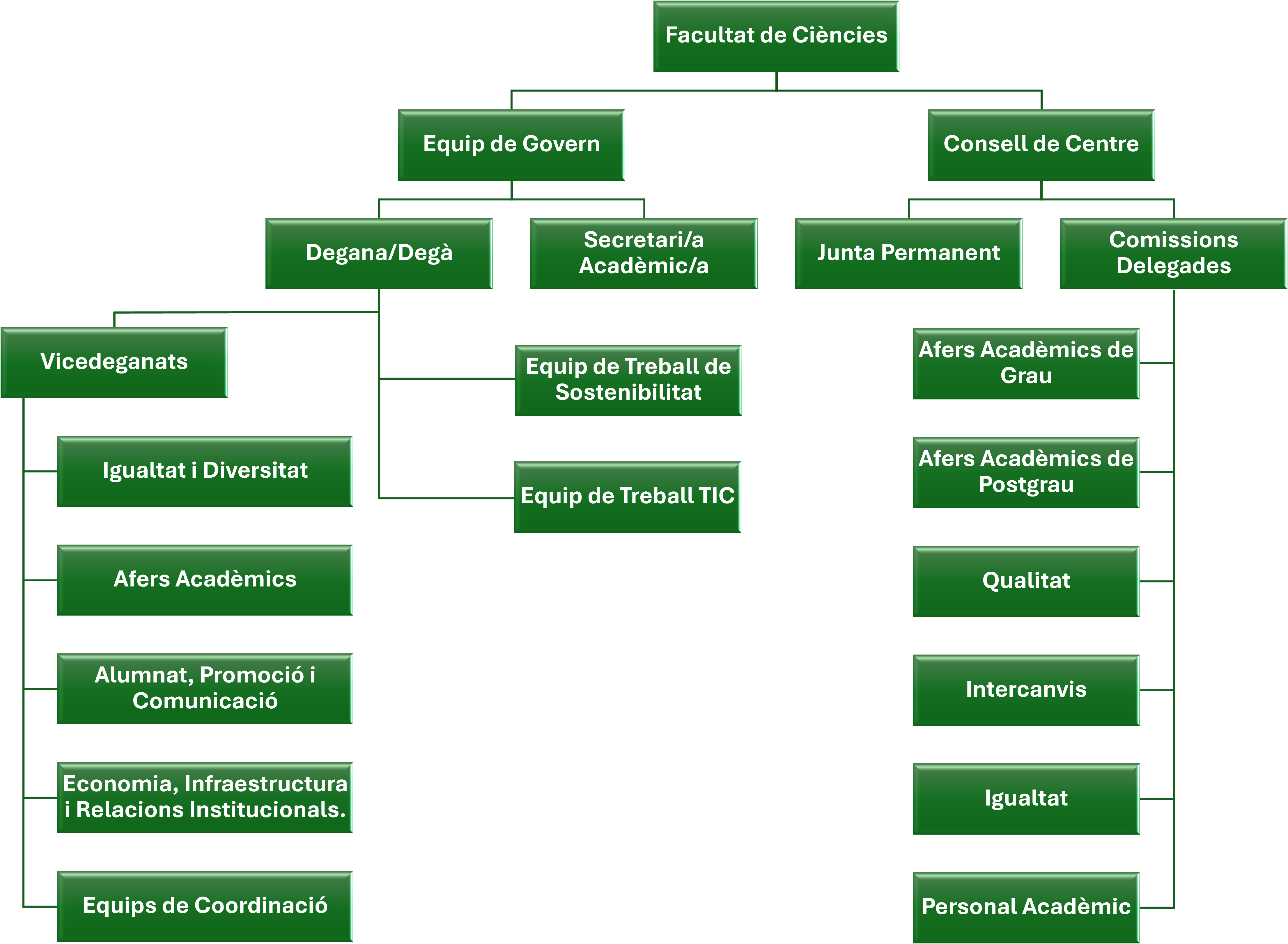 Organigrama de la Facultat de Ciències
