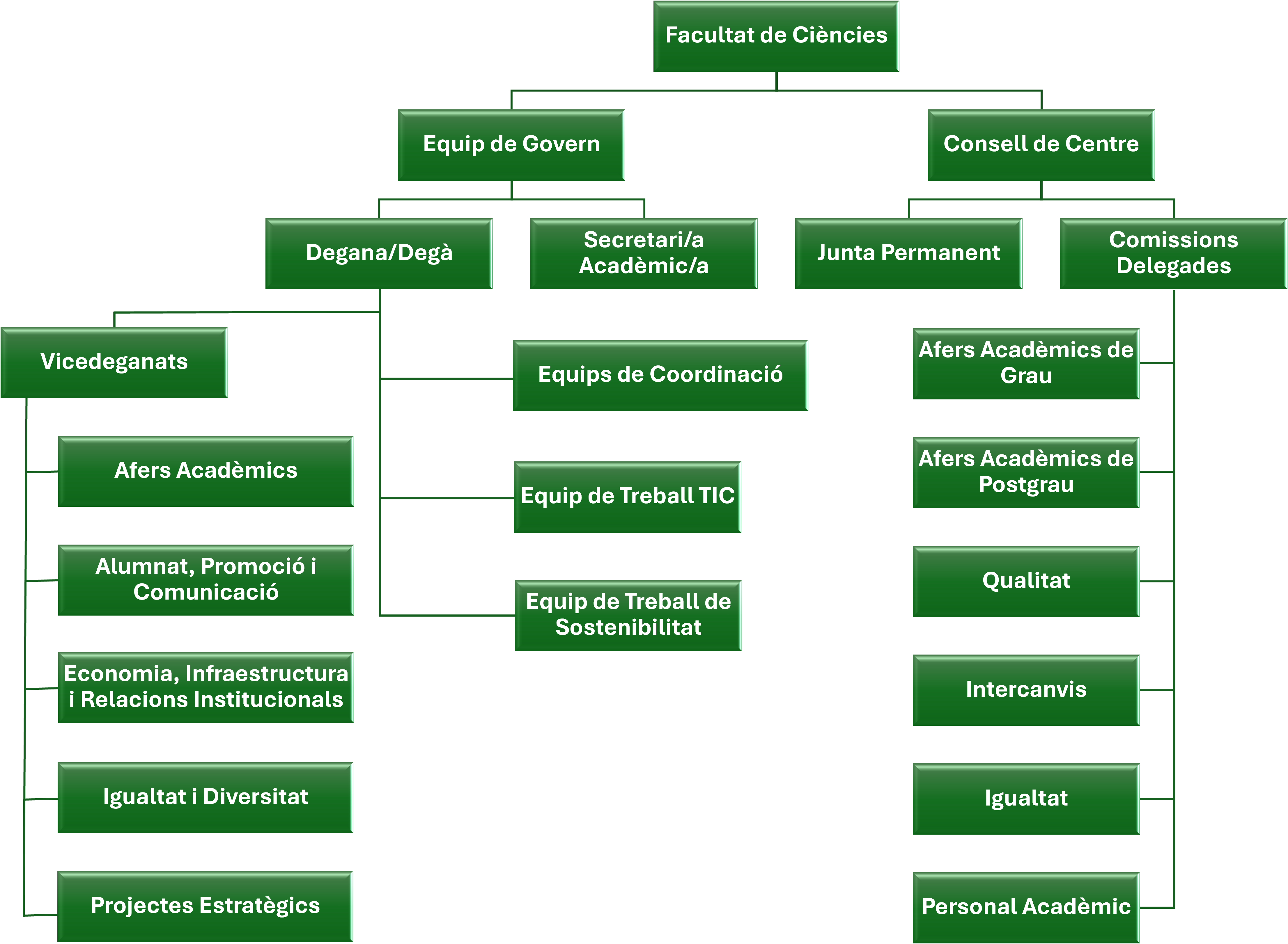 Organigrama de la Facultat de Ciències