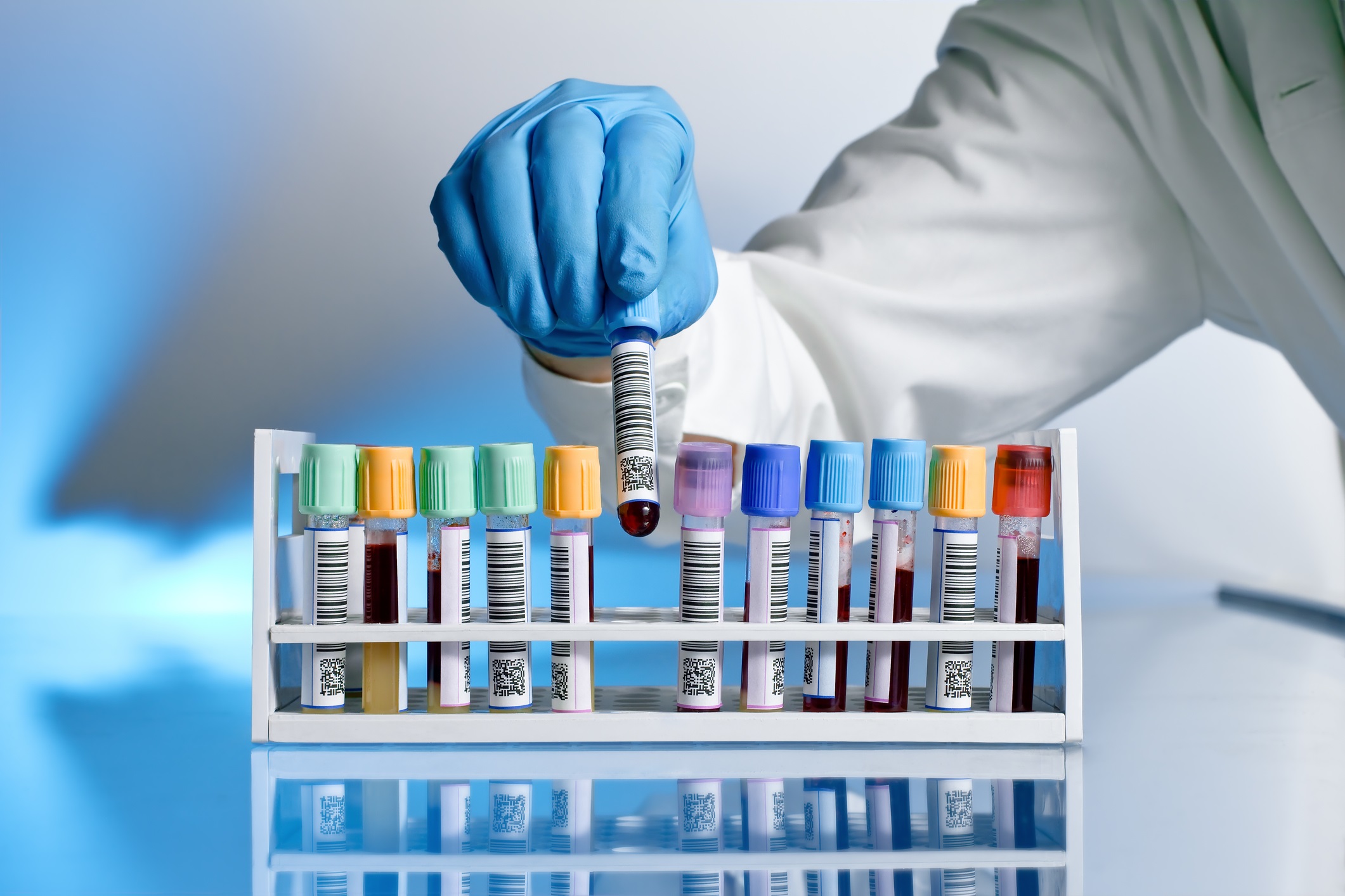 Química i Bioquímica Sanitàries