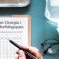 bolígraf apuntant a un calendari