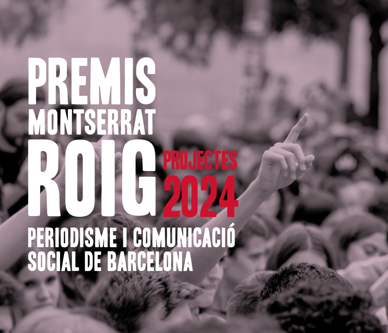 imatge premis montserrat roig