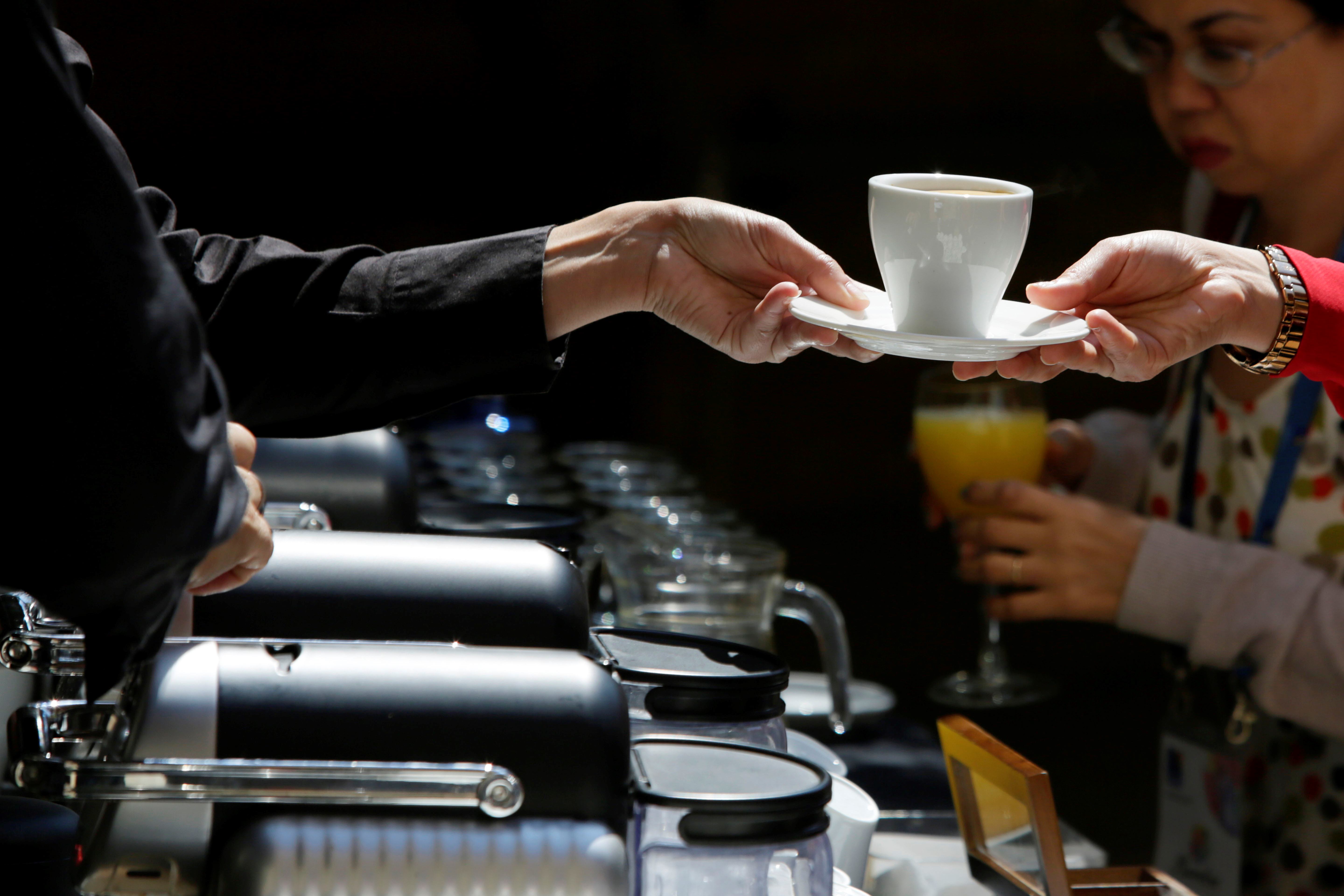 Imatge del Servei de Restauració UAB