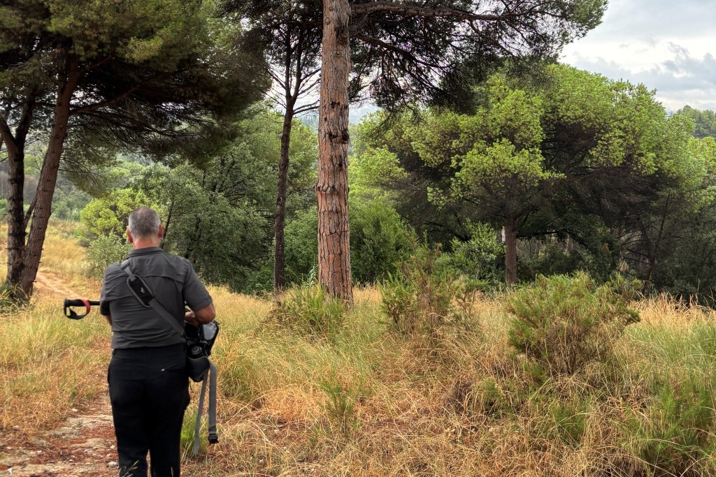 Imatge vista bosc i persona caminant