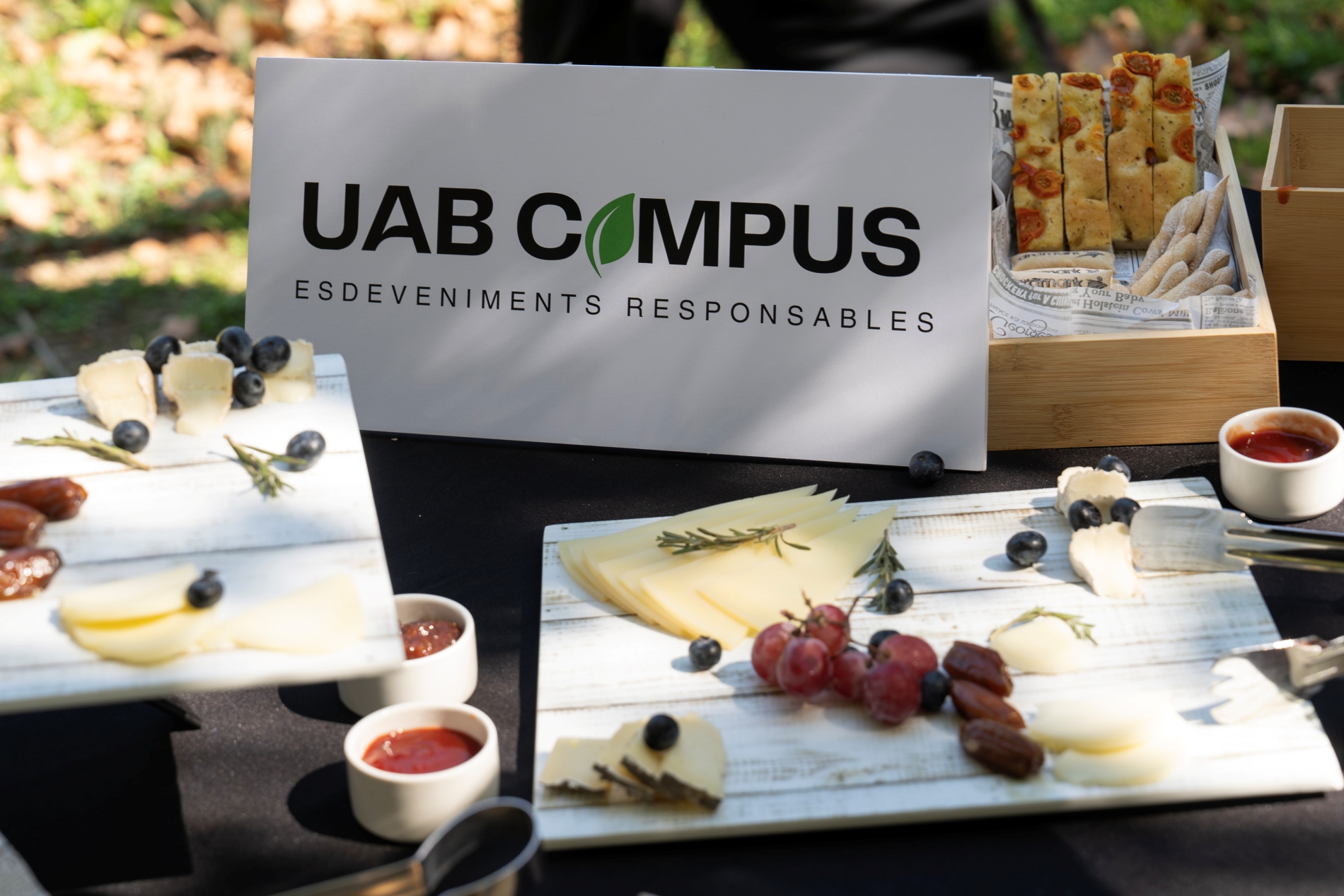 Taula de formatges i fruita 