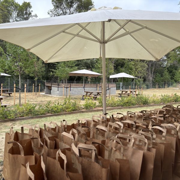 Amplia la imatge Imatge bosses de picnic a punt de repartir a la pausa de dinar