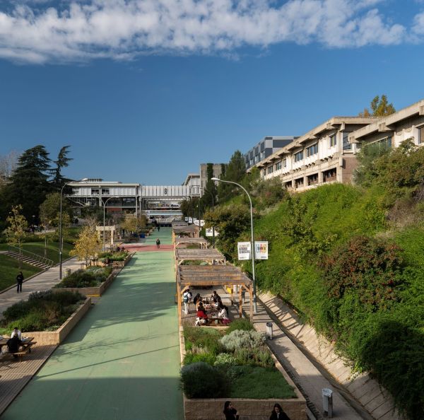 Amplia la imatge Imatge zones verdes de l'Eix Central de la UAB