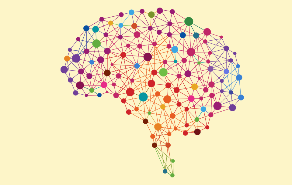 estudi neurociència computacional
