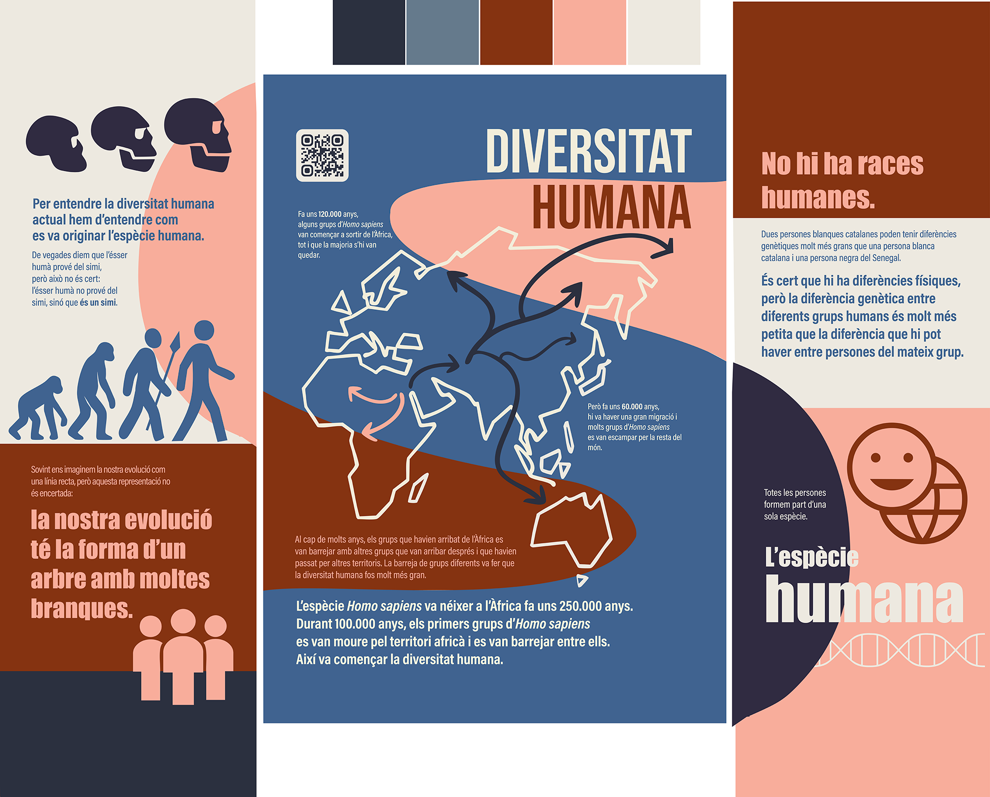 plató diversitat humana