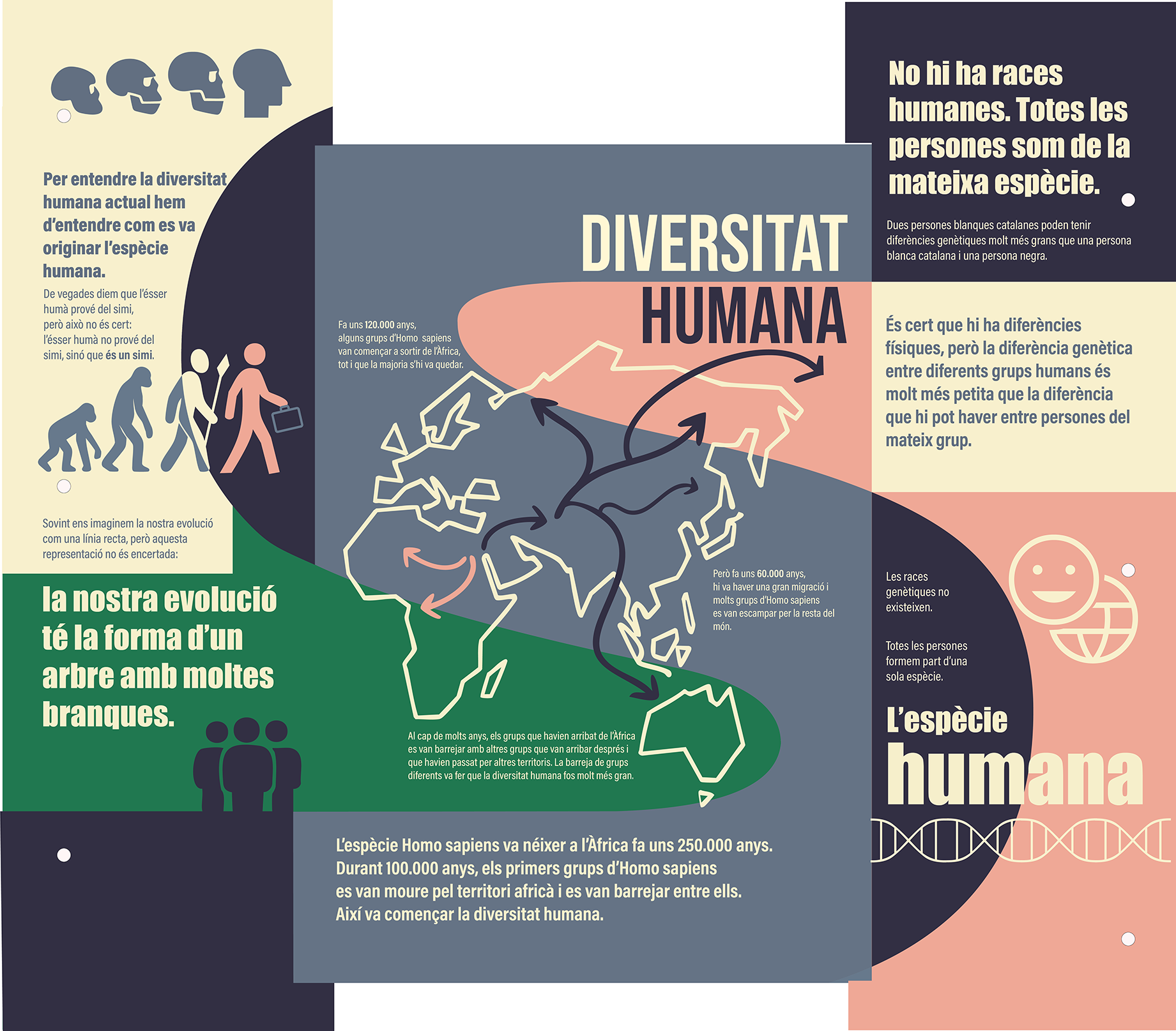 plató diversitat humana