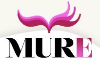   Logotip del màster en recerca i educació: les lletres MURE i un llibre obert al damunt.