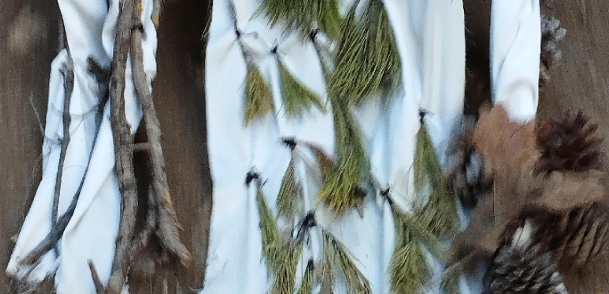  Composició amb elements naturals com branques, pinyes i fulles disposats sobre una tela clara, creant una instal·lació o obra artística inspirada en la natura.