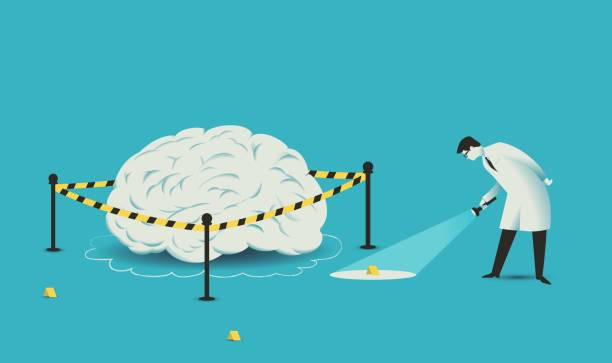 Grau en Psicologia i Criminologia