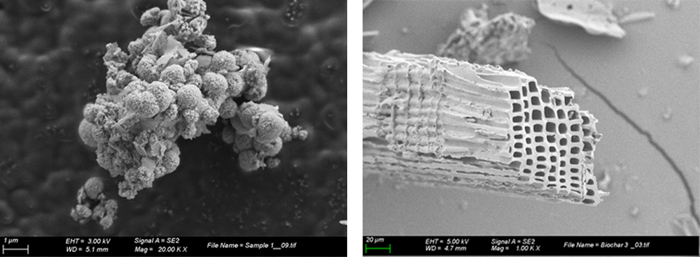 Imatge de microscopia electrònica de rastreig on es pot observar els suports estables estudiats, el quitosan (dreta) i el biochar (esquerra), per immobilitzar les nanopartícules de coure catalitzadores de la conversió de diòxid de carboni a metanol. 