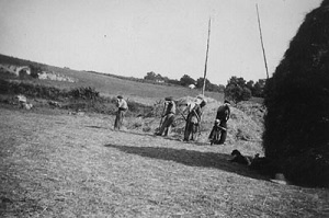 Early 20th century agricultural life scene