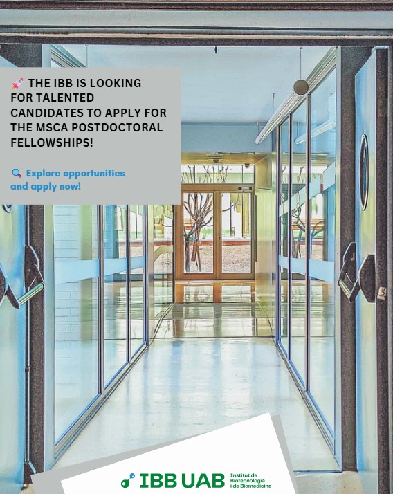 Cartell promocional