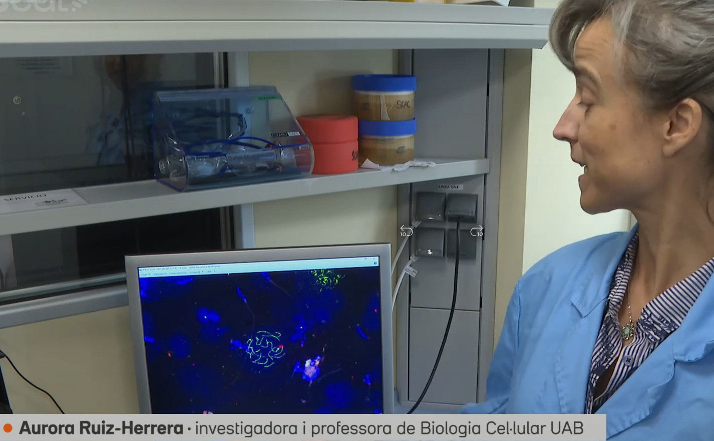 La investigadora mirant una imatge de l'ADN a l'ordinador