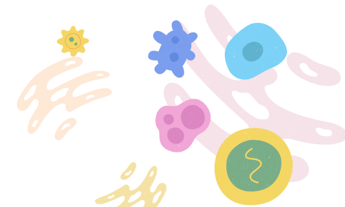 Conceptes actuals de microbiologia