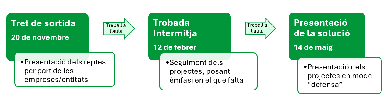 Cronograma Mitja Hackató