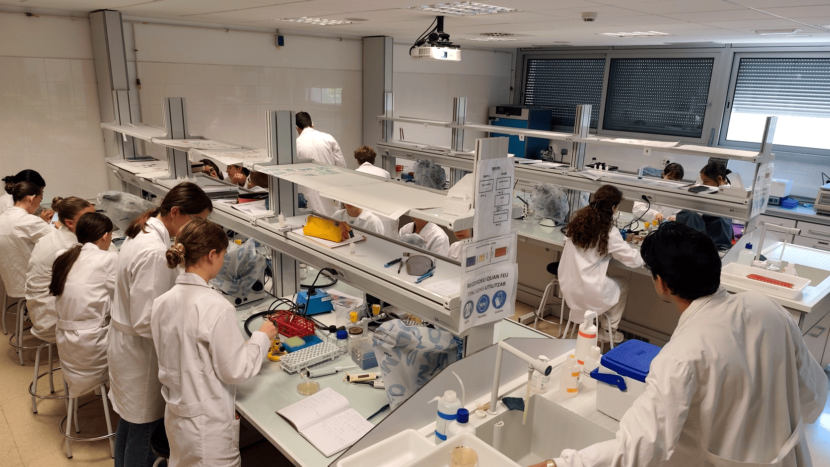 IMG_Cursos_Estades_Estiu_Argo