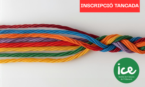 Itinerari del Del repte a la oportunitat