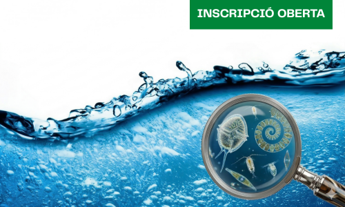 Microbis i Aigua