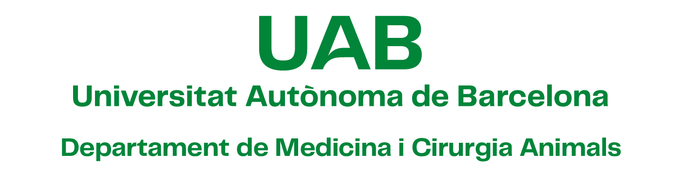 Composició centrada en una sola línia amb versió 2 del logotip