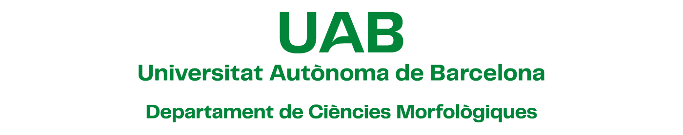 Imatge del logotip