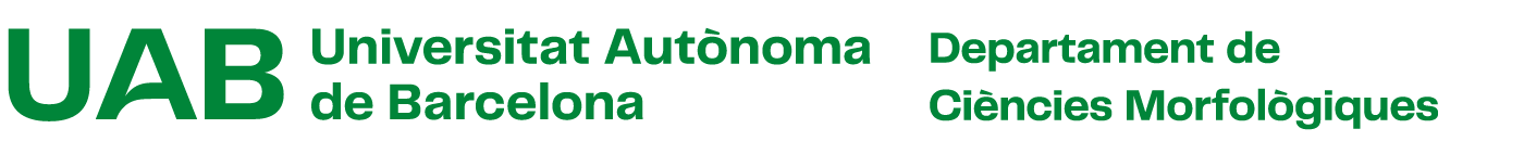 Imatge del logotip