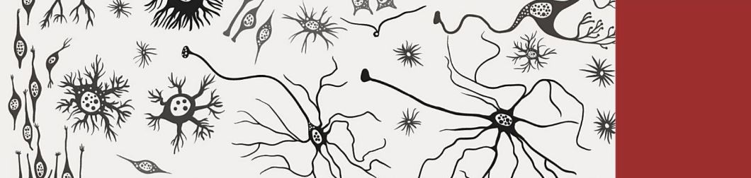 dibuix de cèl·lules del sistema nerviós
