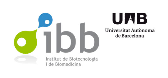 Logo IBB